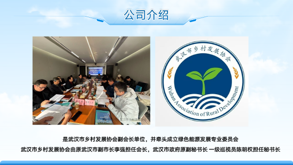 武汉赛宝新能源(1)-7.png