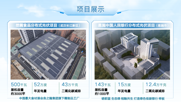武汉赛宝新能源(1)-24.png