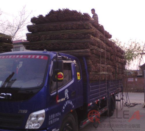图片5 副本.JPG
