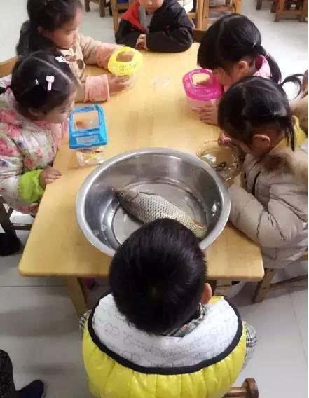 图1.JPg