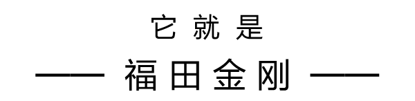图2-1.jpg