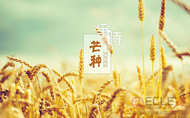 内图1.jpg
