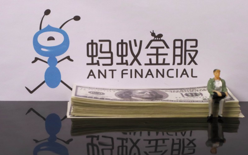 蚂蚁.jpg